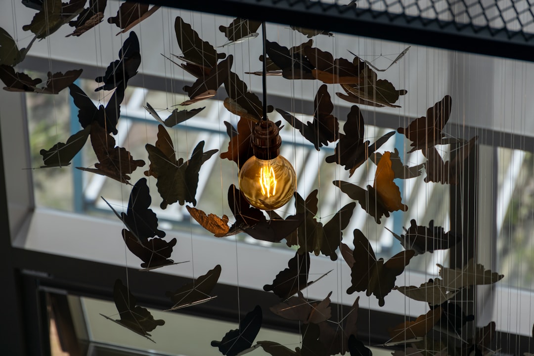 Photo Butterfly Wall Lamp