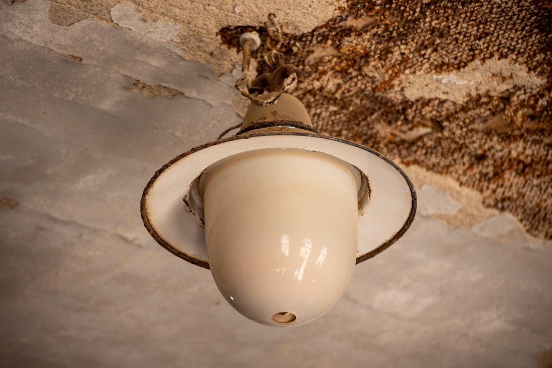 Photo ceramic ceiling light